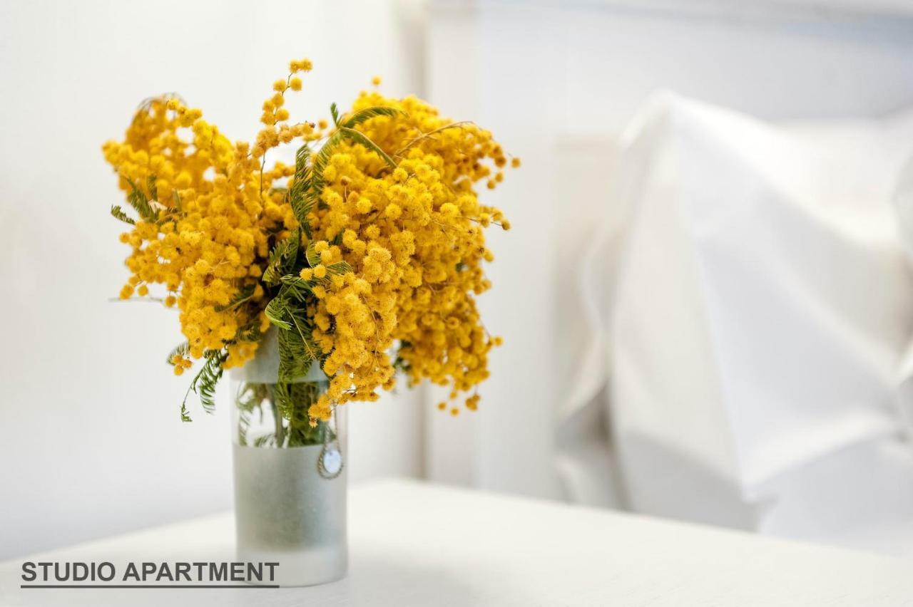 שיבניק Apartments Rialto Gallery מראה חיצוני תמונה